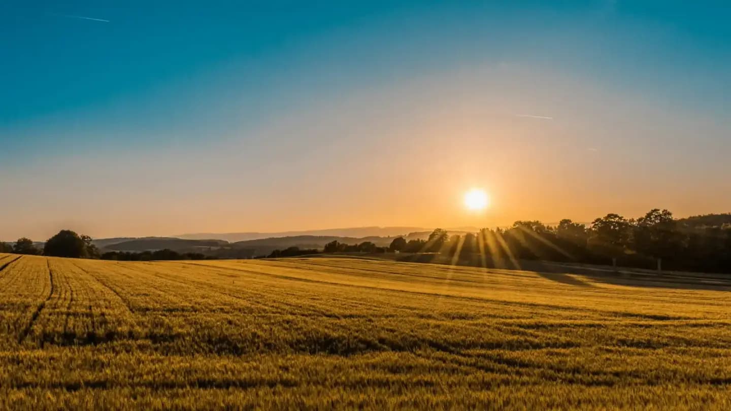 Paisaje agrícola de fondo en Vademeco